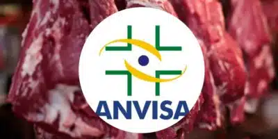 Anvisa / carne (Foto: Reprodução/ Internet)
