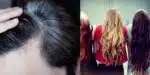 Cabelo loiro, moreno e ruivo - grisalho (Foto: Reprodução, Montagem - TV Foco)