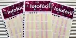 Lotofácil - Foto Internet