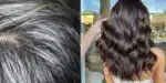 Tinta Natural para mulheres castanhas eliminarem o grisalho (Foto: Reprodução, Montagem - TV Foco)