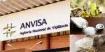 Anvisa fez proibição contra marca de farinha, azeite e sal (Foto: Reprodução/ Internet)
