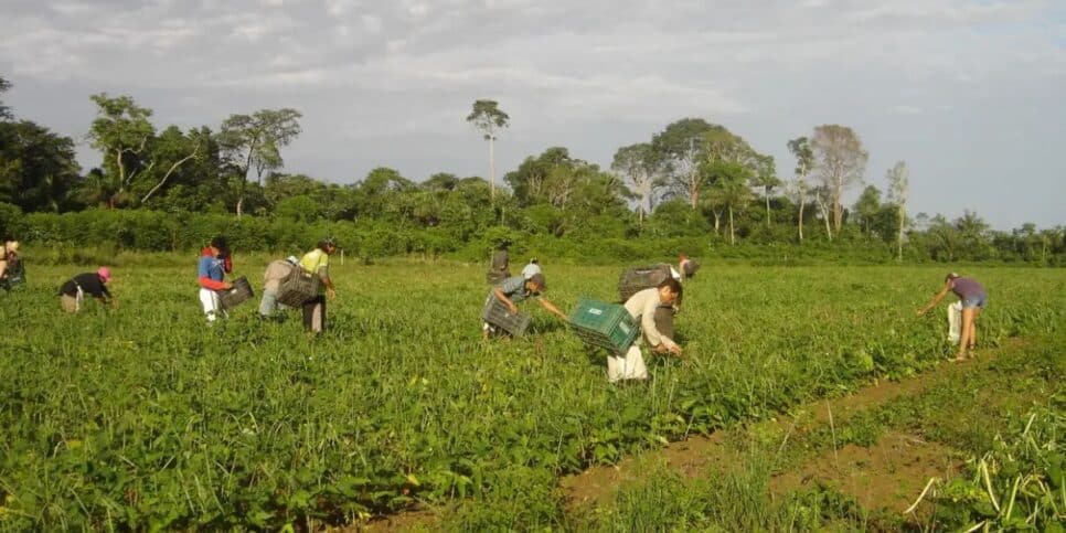 INSS, Aposentadoria Rural, Especial