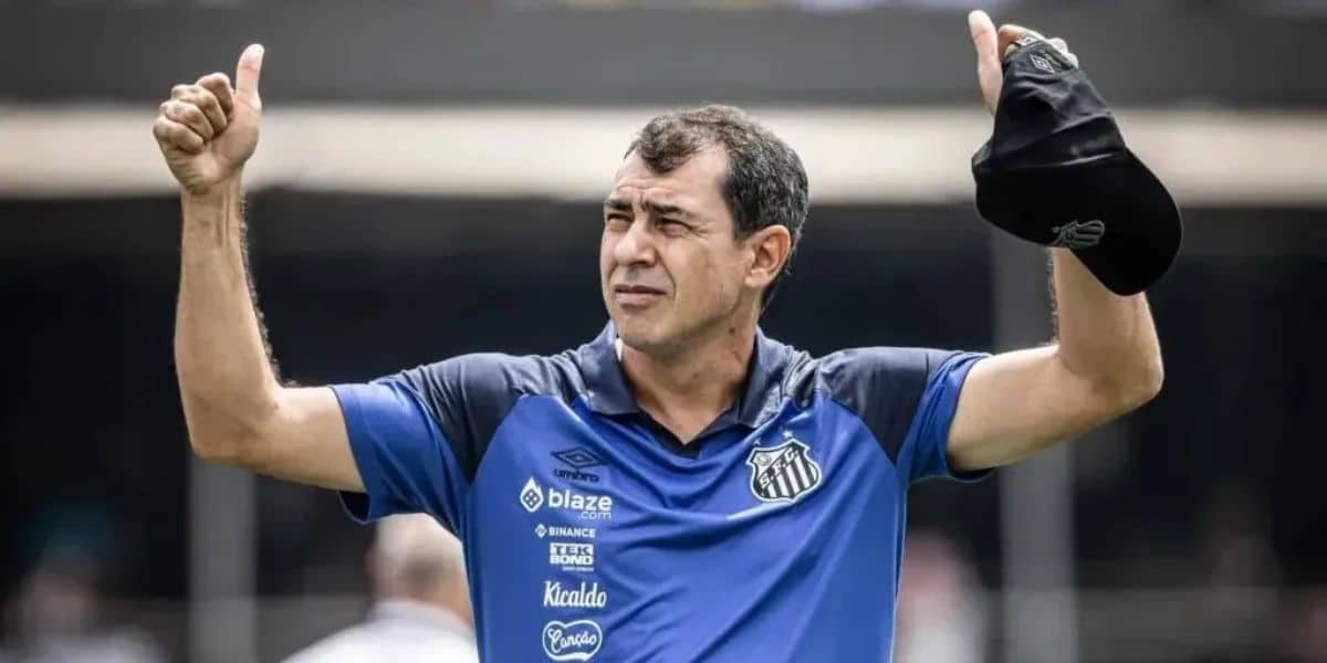 Fábio Carille é o atual técnico de futebol do Santos (Reprodução: Raul Baretta/Santos FC)