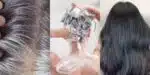 Único ingrediente acaba com o grisalho e rejuvenesce mulheres 50+ - Foto: Montagem