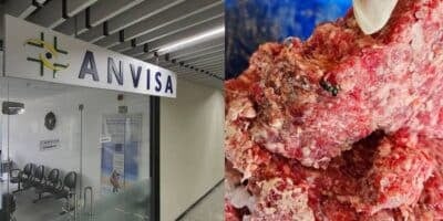 Anvisa / Mosca na carne - Montagem: TVFOCO