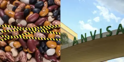 Arrancado dos mercados: A proibição da venda de duas marcas de feijão por risco sério à saúde
