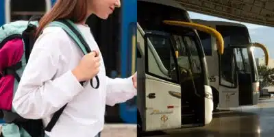 Gratuidade em rodoviárias é garantida a milhares em 3 passos (Foto: Freepik)