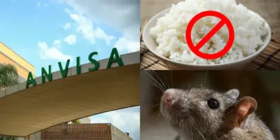 Risco à saúde: Anvisa crava proibição de marca de arroz popular e arranca dos mercados