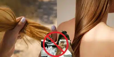 Imagem PreCarregada
