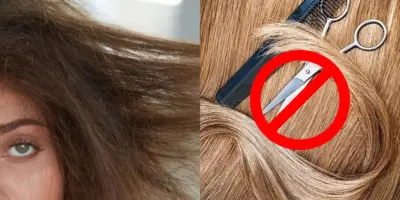 Fim do cabelo ressecado e pontas duplas: Receitinha com apenas 1 ingrediente salva seu cabelo da tesoura
