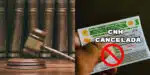 Lei envolvendo a CNH, faz ela ser cassada por conta dessas 3 ações no trânsito (Foto: Montagem TV Foco)