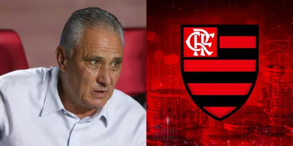 Landim e Flamengo (Foto: reprodução / FFC)