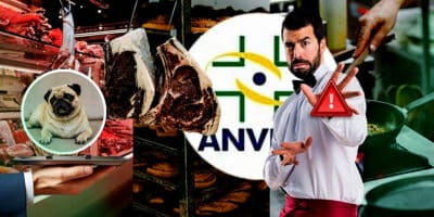 ANVISA decretou três proibições que atingiram uma padaria, açougue e até restaurante queridinho de shopping (Foto Reprodução/Montagem/Lennita/TV Foco/Canva)