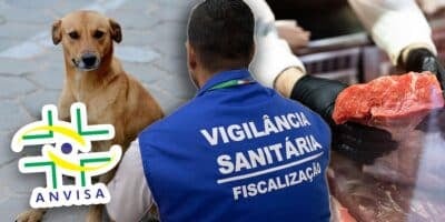 Anvisa - Cachorro - açougue (Foto- Reprodução, Montagem - TV Foco)