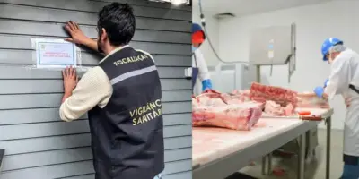 300kg de carne PODRE: Anvisa interdita açougue e Globo desmascara nojeira