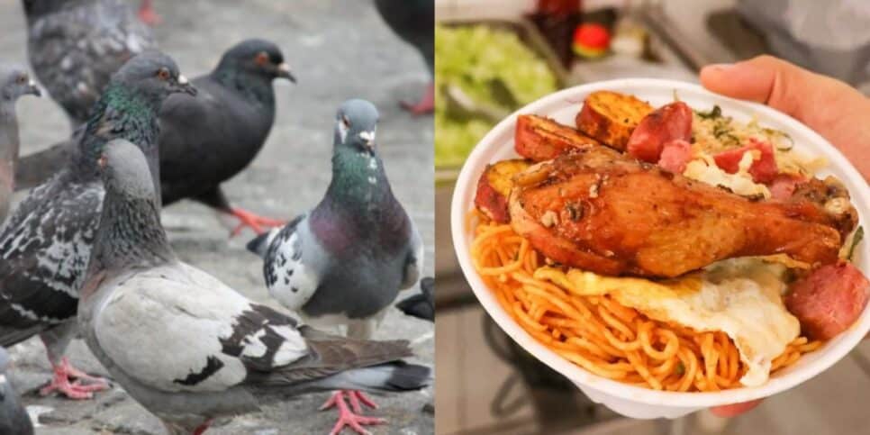 Interdição de restaurante ocorre após presença de carne de pombo (Foto: Reprodução/ Internet)