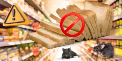 Marca de PÃO amada da dona de casa recolhe 100 mil pacotes às pressas