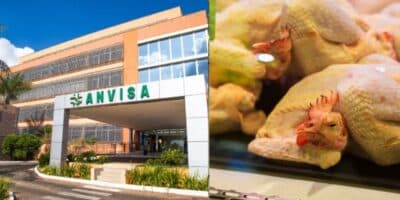 Record confirma proibição da Anvisa contra marca de frango - Foto: Internet