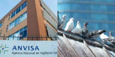 Imagem card com fundo