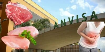 A proibição da Anvisa contra frango e carne por risco fatal (Reprodução: Montagem TV Foco)