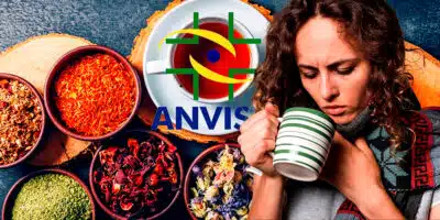 ANVISA proíbe chá popular após risco (Foto Reprodução/Montagem/Tv Foco/Canva/GMN/Lennita/TV Foco)