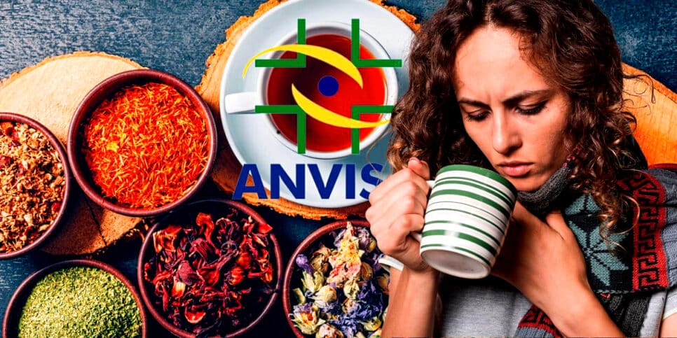 ANVISA proíbe chá popular após risco (Foto Reprodução/Montagem/Tv Foco/Canva/GMN/Lennita/TV Foco)