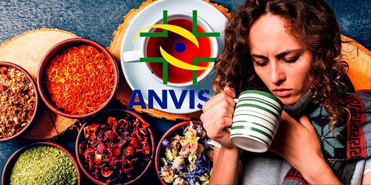 ANVISA proíbe chá popular após risco (Foto Reprodução/Montagem/Tv Foco/Canva/GMN/Lennita/TV Foco)
