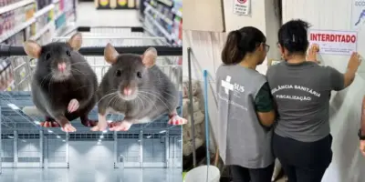 Infestação: Anvisa interdita fábrica tradicional e mercado popular em SP por flagra de nojeira