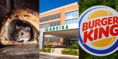 Rival N°1 do Burger King tem loja fechada após proibição da Anvisa - Foto: Internet