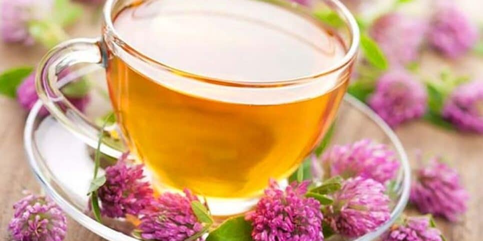 Chá de Valeriana