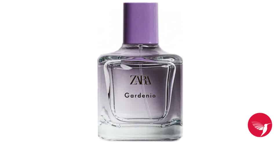 Gardenia Zara (Foto: Reprodução/ Internet)