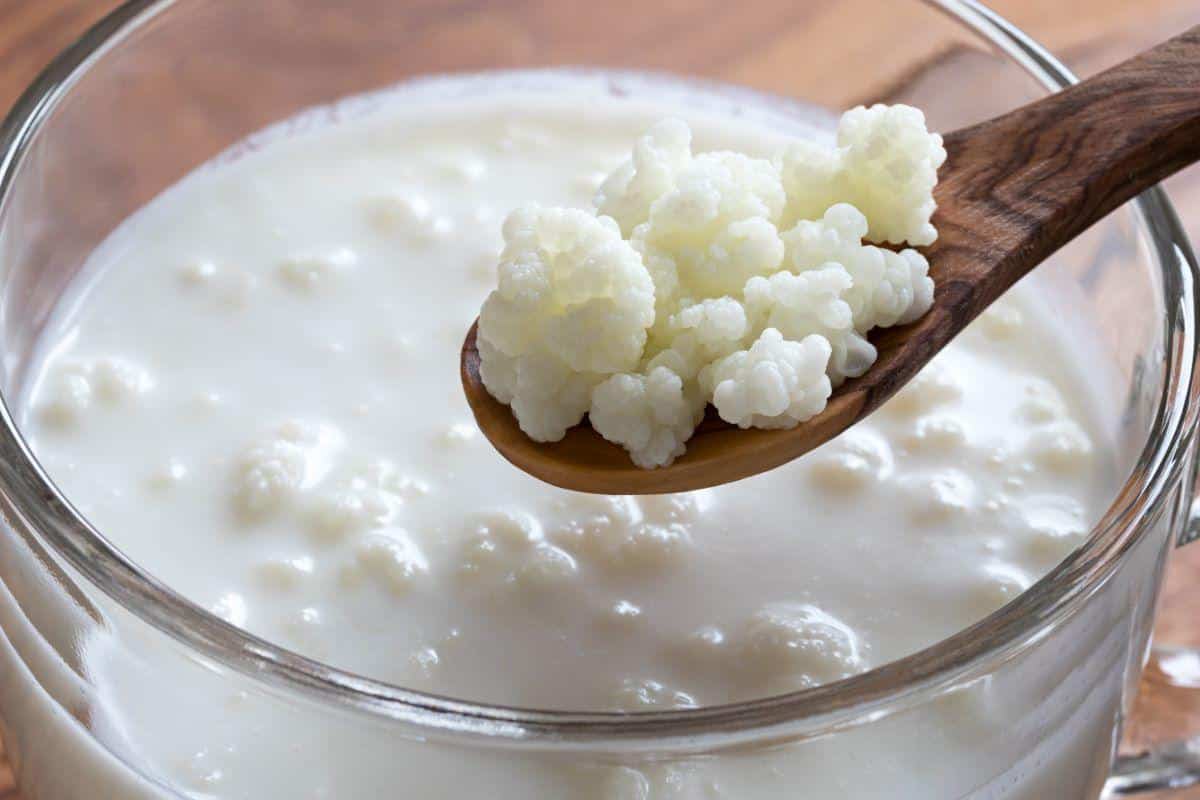 Kefir é um bebida fermentada, semelhante ao iogurte (Foto: Reprodução)