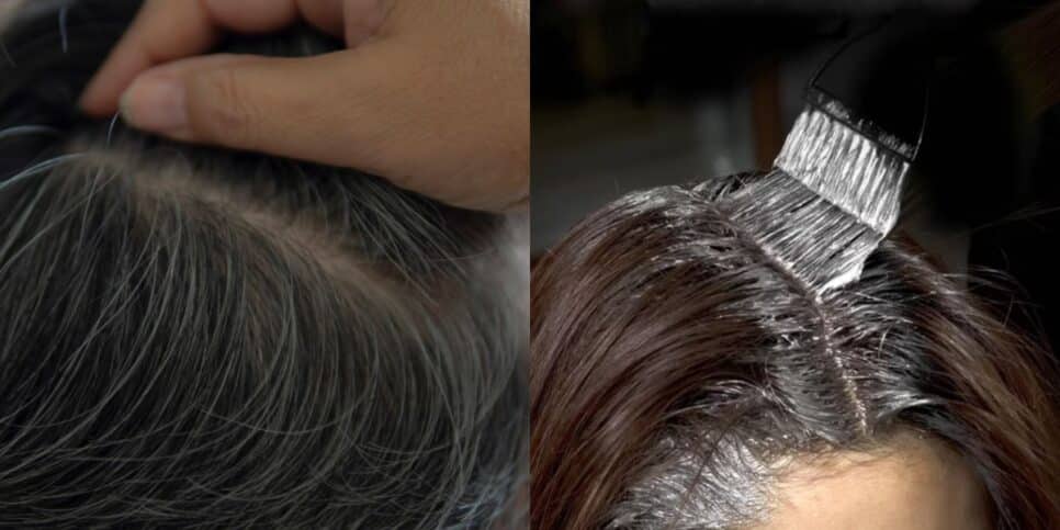 Fim do cabelo grisalho com 2 tintas naturais (Reprodução: Montagem TV Foco)