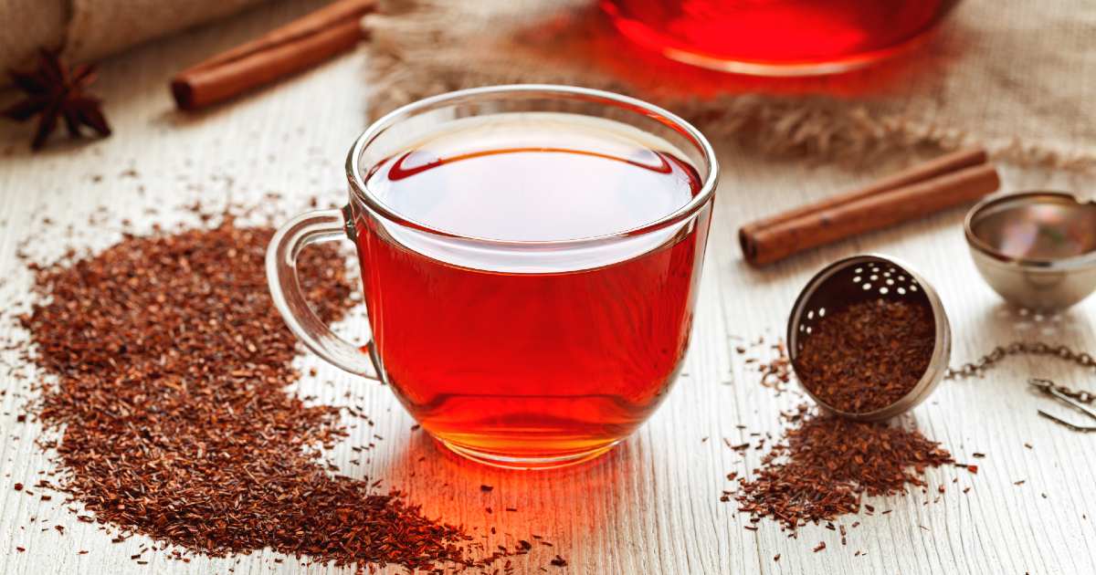 Chá de Rooibos (Foto Reprodução/Internet)