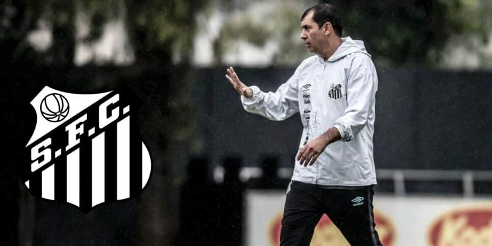 Carille é o atual técnico do Santos (Foto: Reprodução / Ivan Storti)