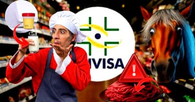 ANVISA alerta sobre fraudes em produtos populares como carne moída de cavalo e leite com xixi (Foto Reprodução/Montagem/Lennita/Tv Foco/Canva/ANVISA)