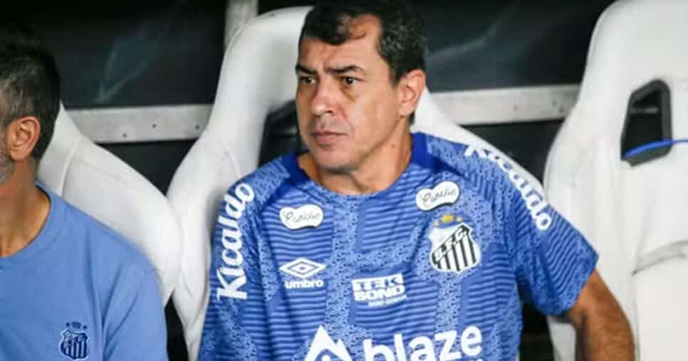 Fábio Carille, técnico de futebol do Santos (Foto: Baggio Rodrigues/AGIF)