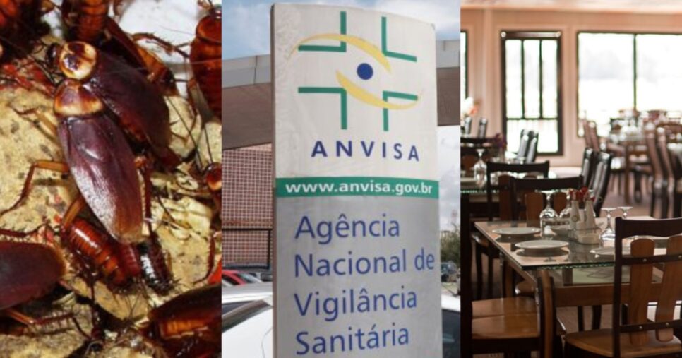 Fechamento de 4 restaurantes após proibição da Anvisa (Foto: Reprodução/ Internet)