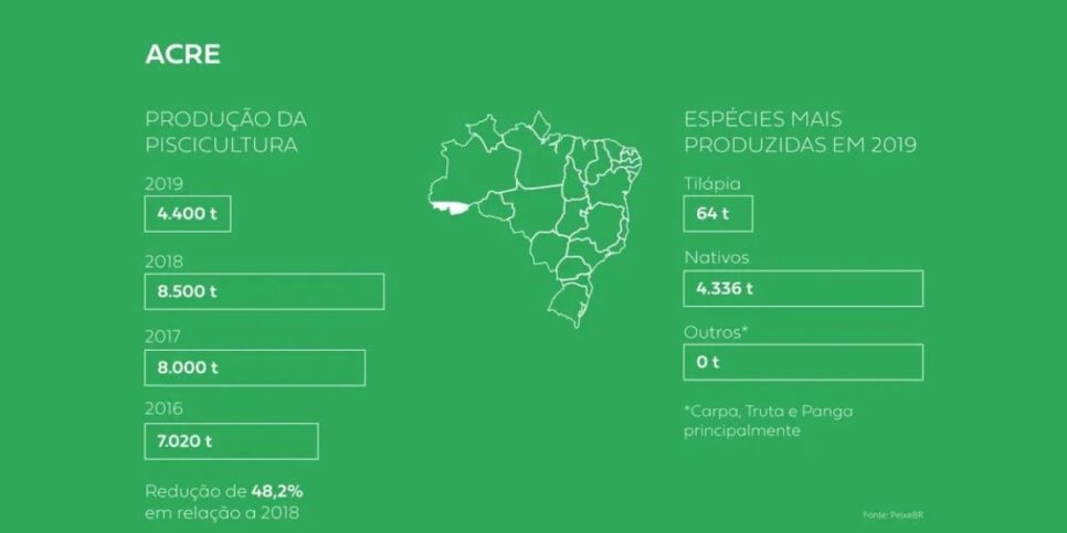 Após paralisação das atividades da empresa produção do Acre teve queda de quase 50% (Foto: Reprodução/Diário do Acre)