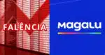 Magalu e falência (Foto: Reprodução - TV Foco)