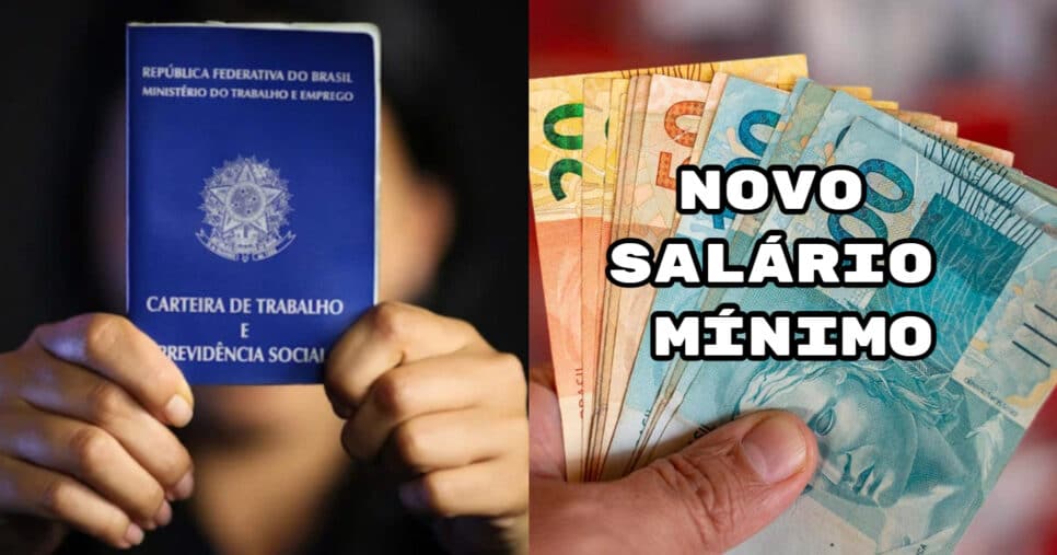 Novo salário mínimo é anunciado e surpreende trabalhadores (Foto: Montagem)