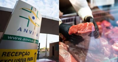 Anvisa barra açougue após encontrar carne podre (Foto: Montagem)