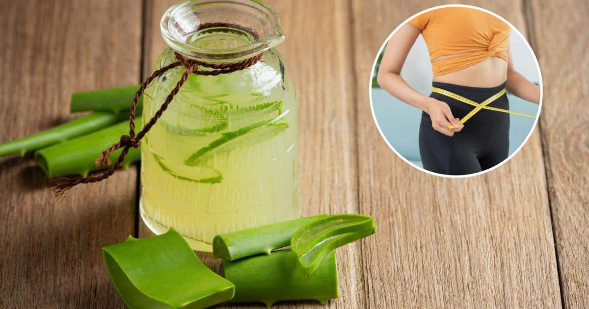 Suco de aloe Vera promete sugar o açúcar do sangue e emagrece (Foto Reprodução/Internet)