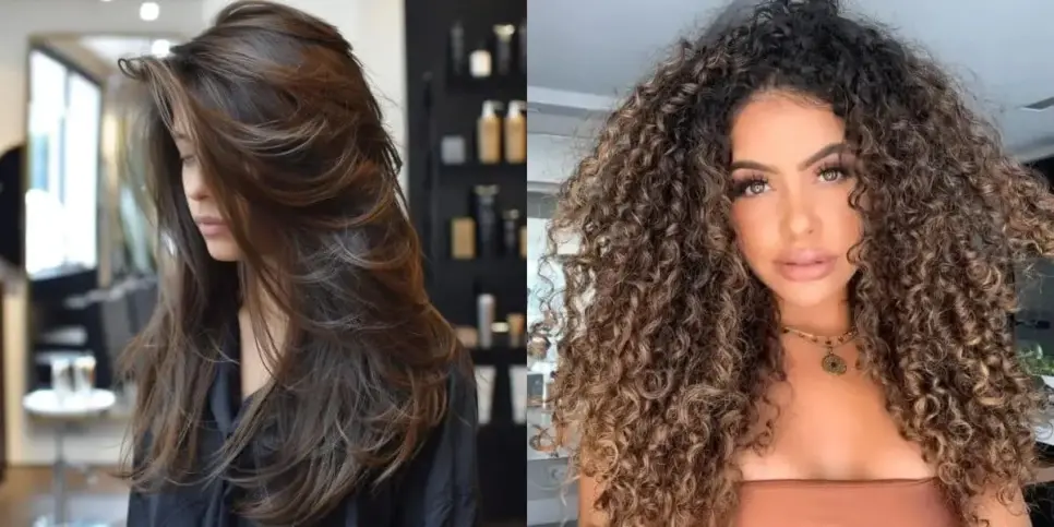 http://tvfoco.uai.com.br/wp-content/uploads/2015/05/Daniela-Mercury.jpg http://tvfoco.uai.com.br/wp-content/uploads/2015/05/Daniela-Mercury.jpg