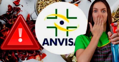 ANVISA proíbe produto nº1 e indispensável nos lares das donas de casa após erro grave (Foto Reprodução/Montagem/Lennita/Tv Foco/Canva)