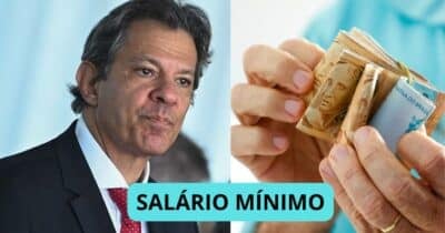 Fernando Haddad / Salário mínimo - Foto: Internet