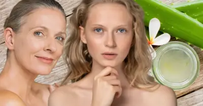Adeus rugas, manchas, espinhas e+: 7 benefícios da babosa para mulheres 55+ aumentarem a autoestima e rejuvenescerem