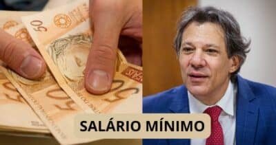 SALÁRIO MÍNIMO / FERNANDO HADDAD - Montagem TVFOCO