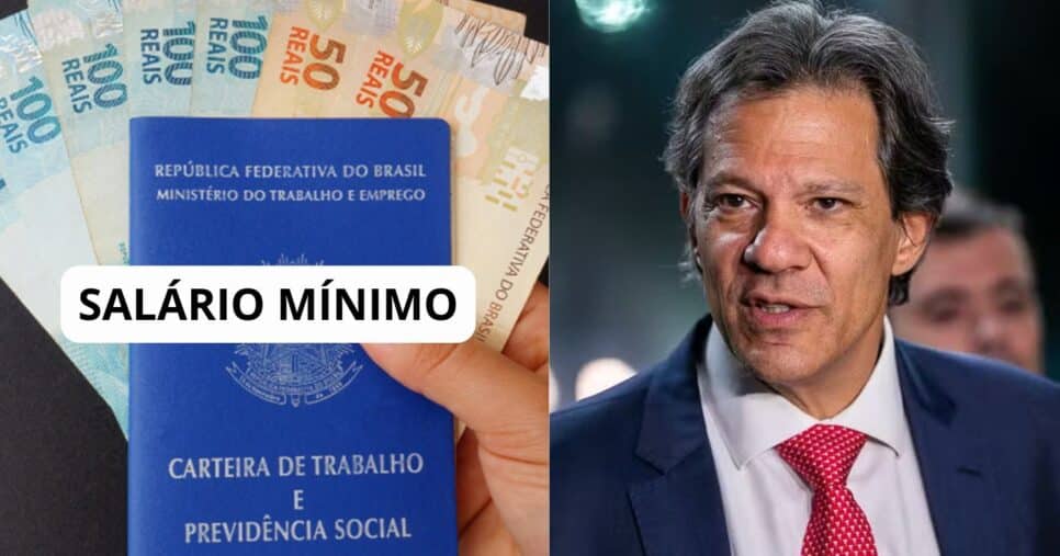 Salário mínimo - Fernando Haddad - Montagem: TVFOCO