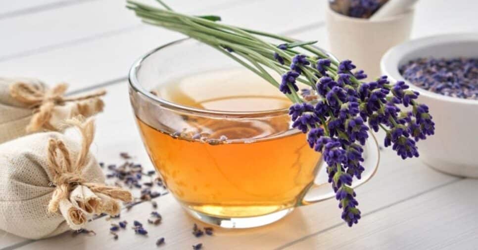 Chá de lavanda (Reprodução/Internet)
